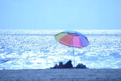 DSC_5009 (Large).JPG